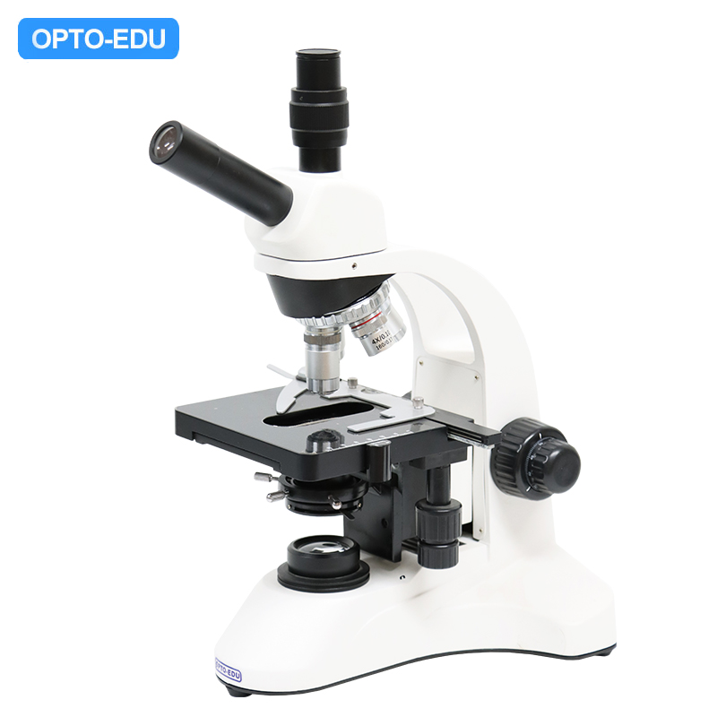 Microscópio Biológico, Chefe de Ensino